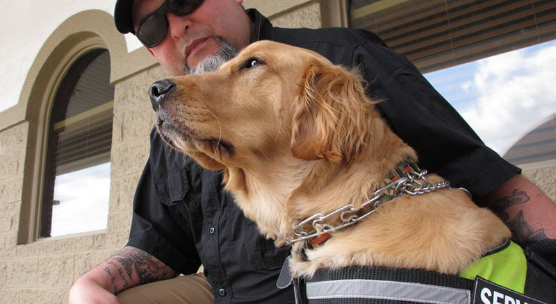 Veteran looking at his dog